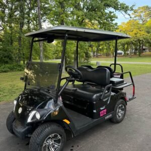 2019 Yamaha Drive 2 QuieTech EFI Gas Golf Cart